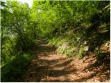 Planina (Dolnja Planina) - Lovska koča na Planinski gori